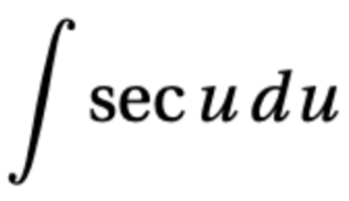term image