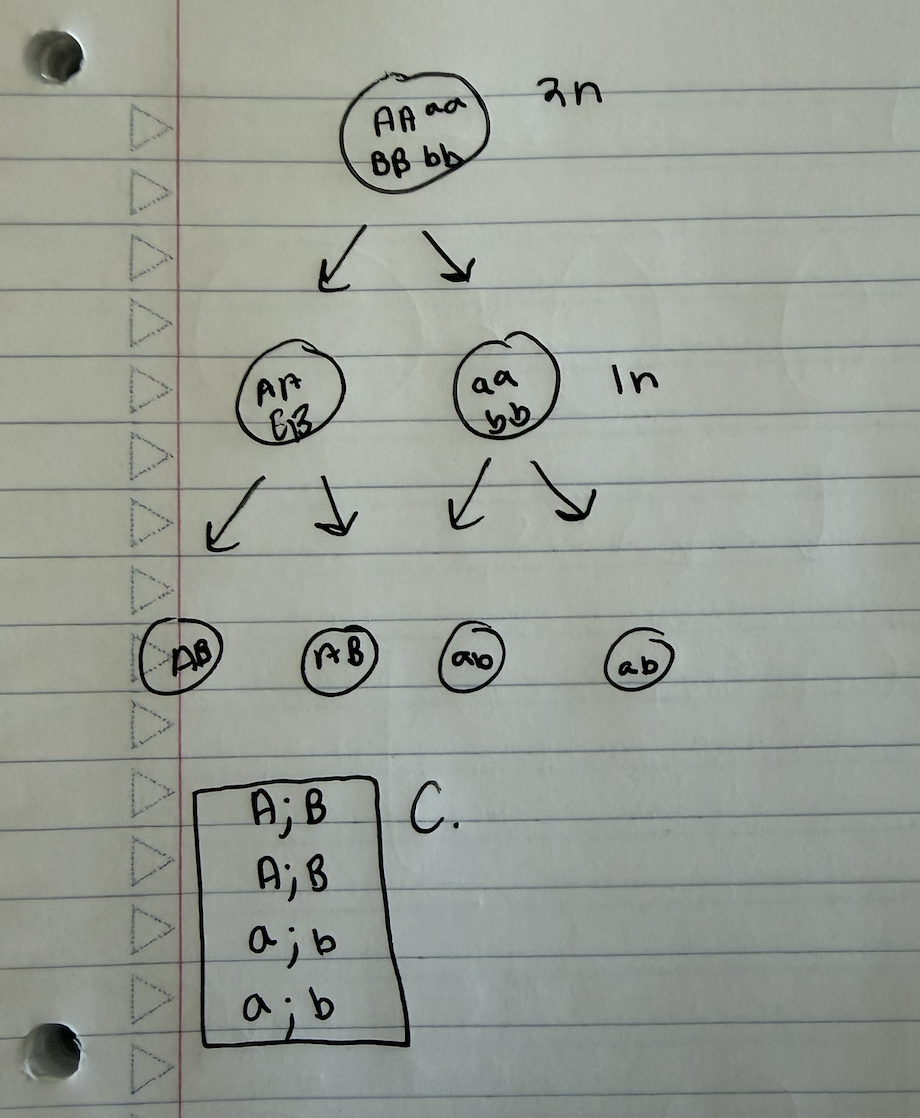 <p>C!!</p>