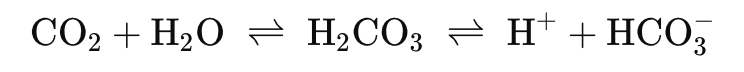 <p>• Carbonic acid (H2CO3) = weak acid = dissociates easily <br>• Depends on the REVERSIBLE reaction</p><p></p><ul><li><p>When the pH is low, more H+ ions bind to bicarbonate to form carbonic acid - then converted into CO2 to breathe out</p></li><li><p>when pH too high = carbonic acid dissociates into H+ and bicarbonate </p></li></ul><p></p>