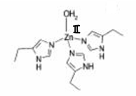 <p>What is the mechanism for HCA?</p>