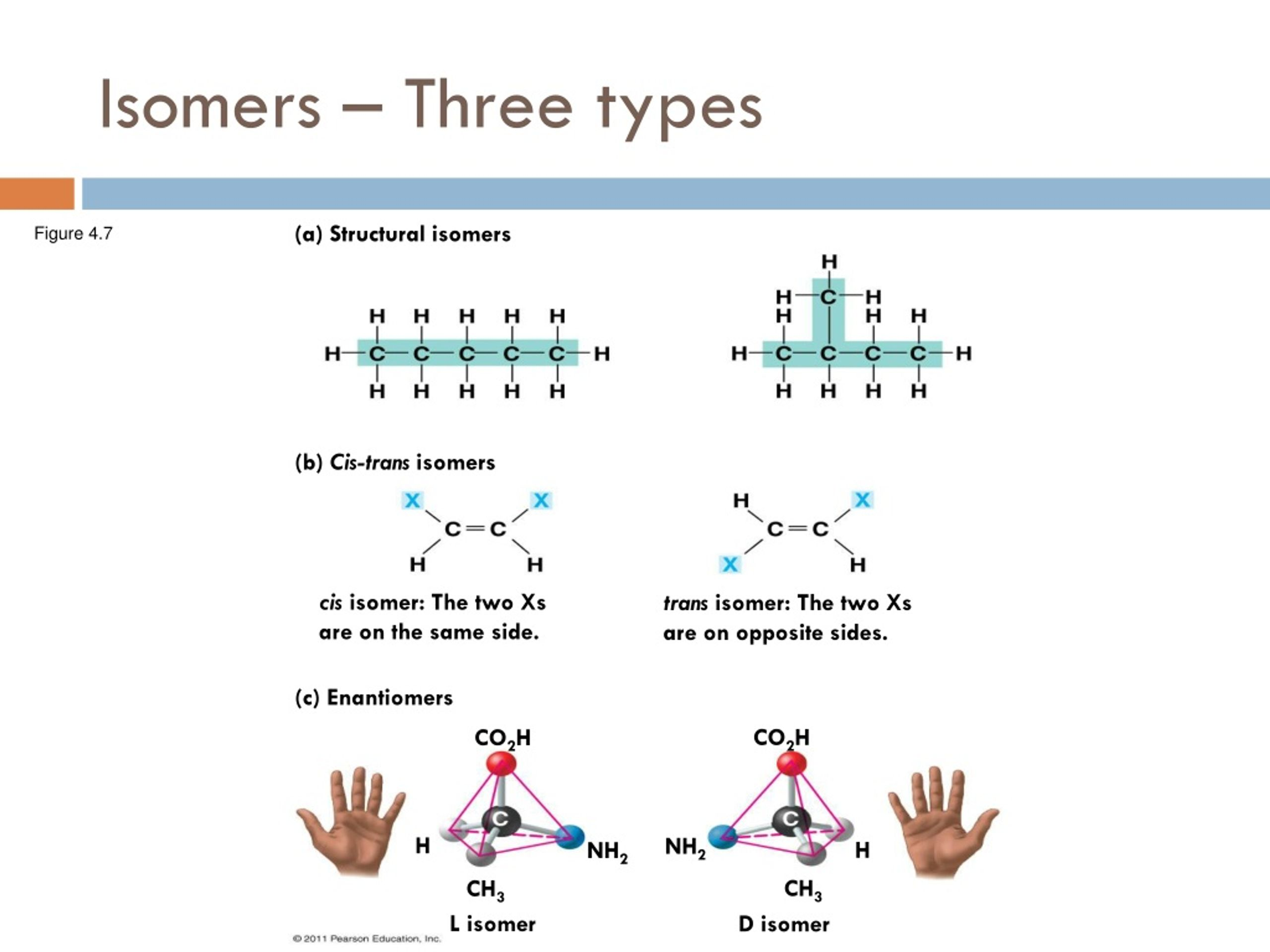 <p>structural: the covalent bonds are positioned in different ways</p><p>cis-trans: the arrangements differ because of double bonds.</p><p>enatiomers: mirror images of each other, like hands!</p>