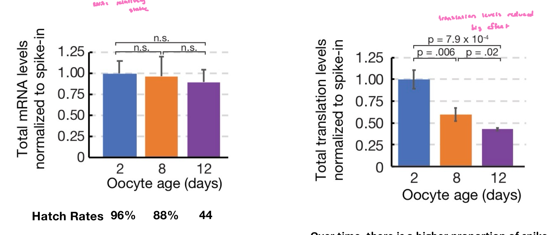 <ul><li><p>no, translation from stable mRNAs decline over time</p></li><li><p>over time, there is a higher proportion of spike-in reads due to decreased translation</p></li></ul><p></p>