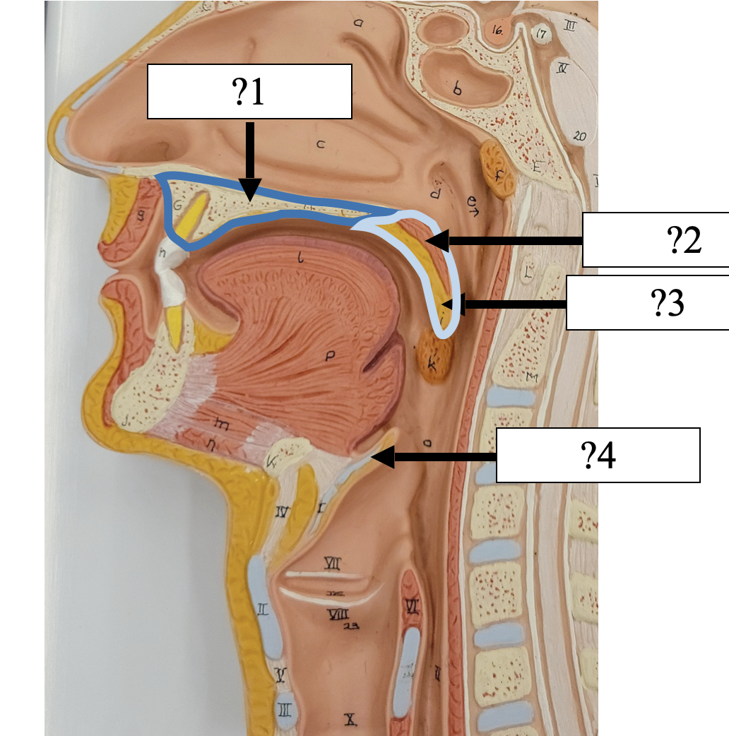 <p>4 Name the structure? </p>