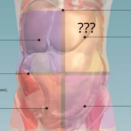 <p>What body quadrant ???</p>