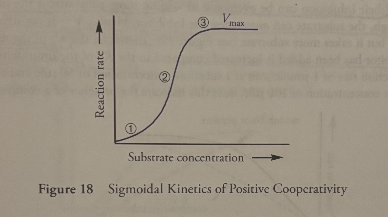 <p>Question: the leveling off at the upper right part of the curve, Region 3, represents what?</p><p>Answer: the Vmax, the enzyme is saturated. </p>