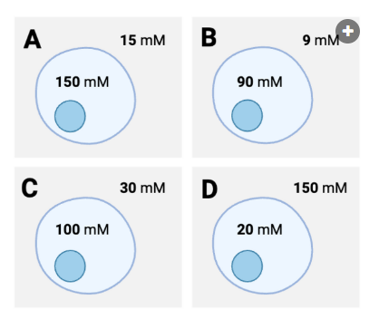 <p>According to Fick's equation, which cell would experience the fastest rate of net diffusion of solutes through the membrane?</p><p><br>a. Cell A<br>b. Cell B<br>c. Cell C<br>d. Cell D<br>e. All cells would experience the same rate of net diffusion.</p>