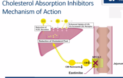 <p>Less GI upset than fibrates, OTC fish oil capsules</p>