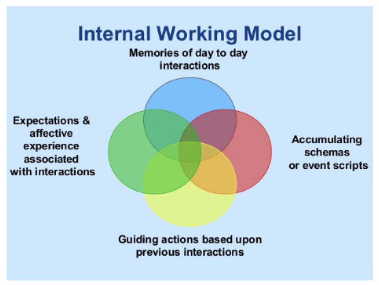 <ul><li><p><strong>preattachment (birth to 6 weeks)</strong> : infants signals people to them (by crying)</p></li><li><p><strong>attachment in the making (6 weeks to 6-8 months):</strong> preference for familiar people is shown</p></li><li><p><strong>clear-cut attachment (6-8 months to 1 ½ - 2 years): </strong>infants actively seek contact with the caregiver </p></li><li><p><strong>reciprocal relationships (1 - ½ years on): </strong>infants make organized efforts to be near their parents</p></li></ul><p></p><p>outcome of the phase:</p><ul><li><p>internal working model of attachment: mental representations of the self in relationships with others</p></li></ul><p></p>