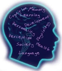 <p>the interdisciplinary study of the brain activity linked with cognition (including perception, thinking, memory, and language).</p>