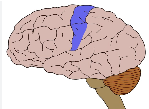 <p></p>