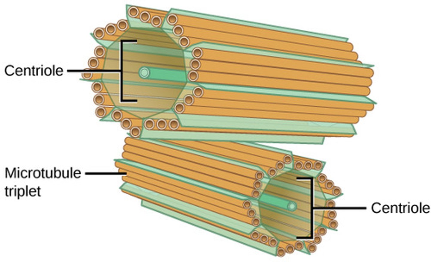<p>9x3</p>