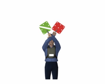 term image