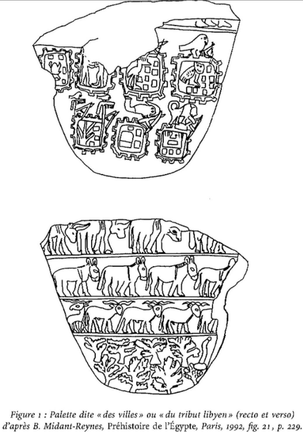 term image
