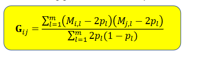 <p><span>where 𝐆𝜎𝑢2 is a covariance matrix</span></p><p><span>Hence, G is a standardized covariance matrix</span></p><p><span>We have to standardize (divide) the covariance by the marker variance</span></p><p></p><p><span>The resulting geomic relationship in yellow</span></p><p><span>Gij is the similarity of the markers of i and j, measured as a standardized covariance</span></p>