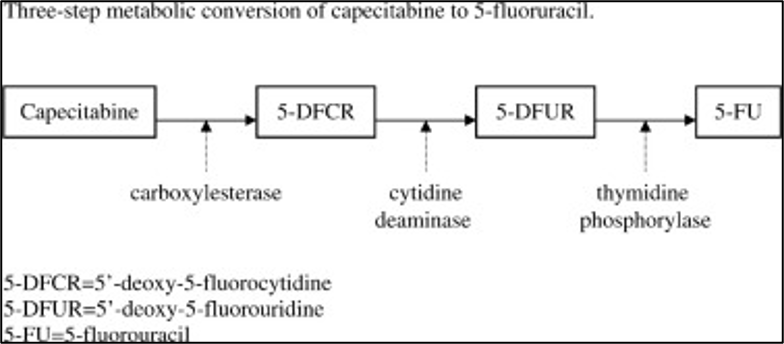 <p><span style="color: yellow;">Thymidine Phosphorylase</span> - some tumors express thymidine phosphorylase in higher concentrations than normal tissue; this is has 2 advantages over 5-FU, enhanced drug concentrations at the tumor and reduced drug levels in normal tissues, therefore decreasing systemic toxicity</p><p></p>