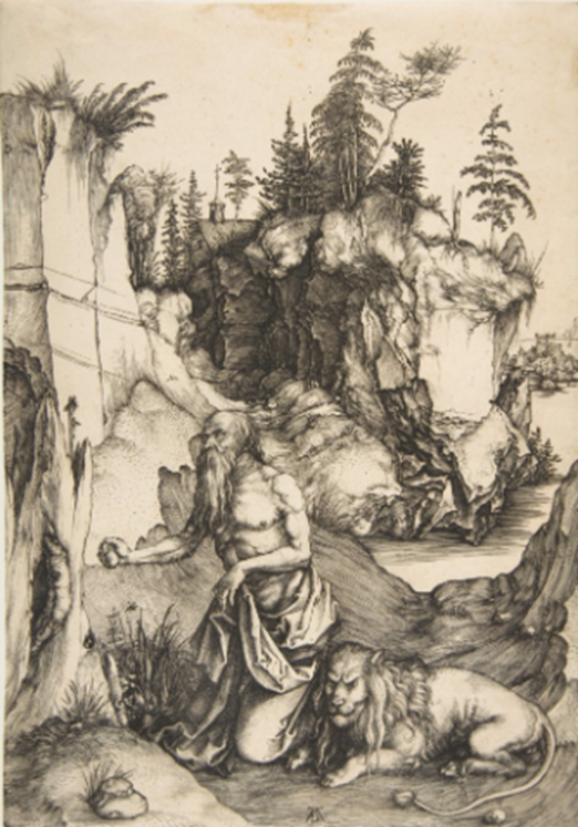 term image