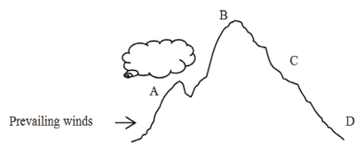 <p>The rain shadow on the mountain in the diagram would be in the area marked:</p>