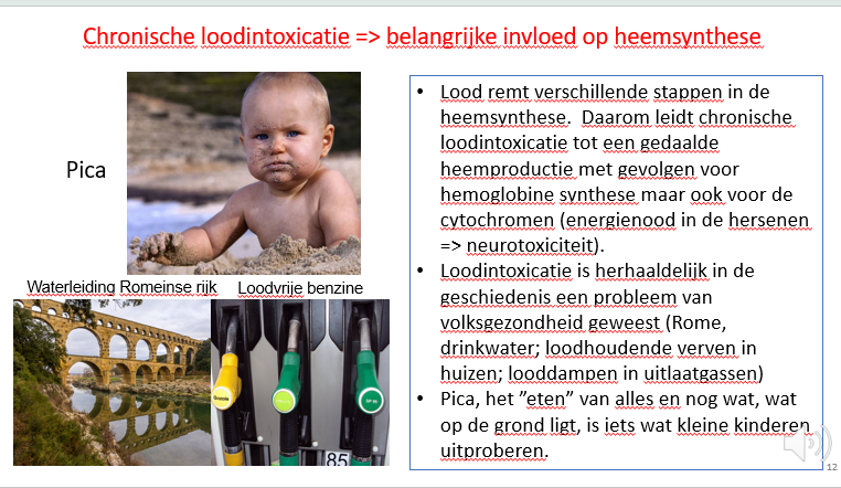 <p><span>Ook tijdens de zwangerschap is er een vorm van pica (pica gravidarum), waarbij vrouwen die zwanger zijn plots zin krijgen in gekke dingen.</span></p><p></p><p><span>Ook bij Fe-tekort zien we een vorm van Pica.</span></p>