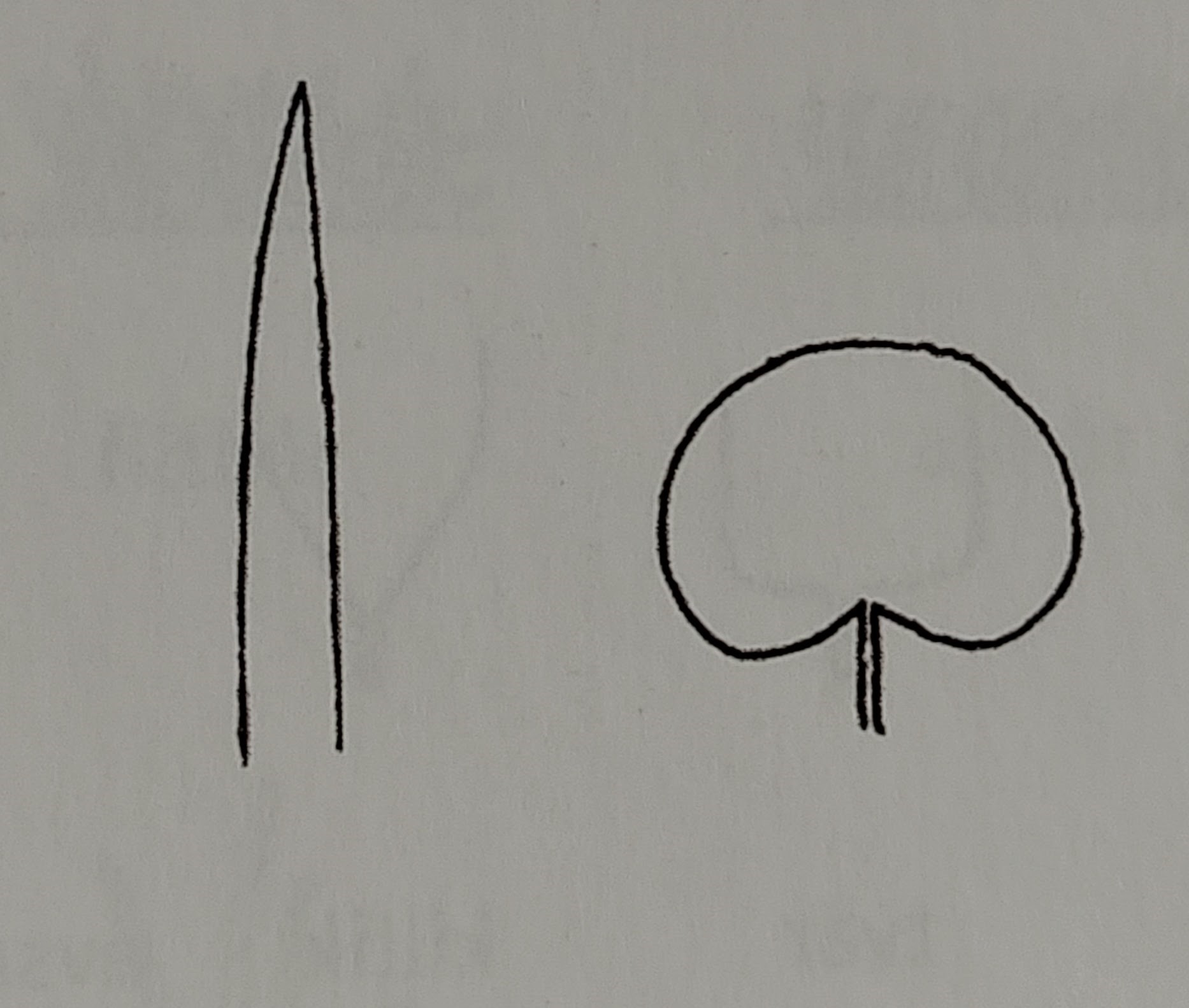 <p></p>