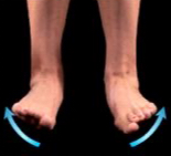 <p>name the muscle action</p>