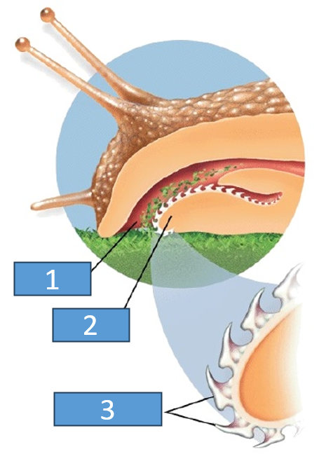 <p>what is 3</p>