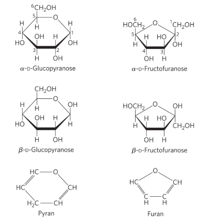 <p><strong><u>Pyranoses and Furanoses</u></strong></p><ul><li><p>_______ = <strong>six membered ring compounds</strong></p><ul><li><p>form when the <strong>hydroxyl group</strong> at <mark data-color="yellow" style="background-color: yellow; color: inherit;">C-5</mark> reacts with the aldehyde group at <mark data-color="yellow" style="background-color: yellow; color: inherit;">C-1</mark></p></li></ul></li></ul><p></p>