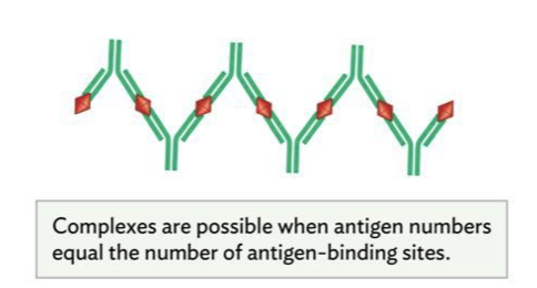 <p>_________: makes a complex of antibodies and antigen and can be used to identify some pathogens, measures ____ _____ _____</p>