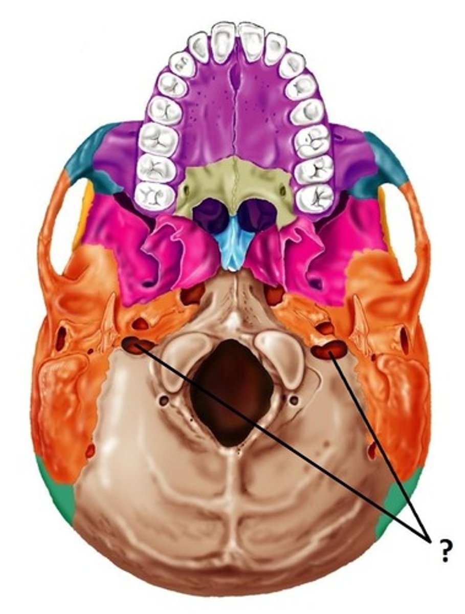 <p>ID opening</p>