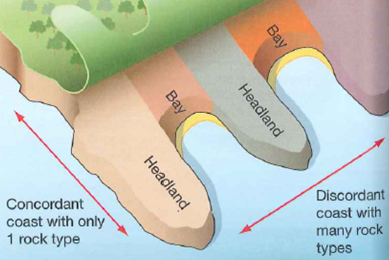 <ul><li><p>Rock type- Soft rock erodes faster than hard rock, and rocks which are well jointed are easily penetrated by sea</p></li><li><p>Structure of the rock- Concordant coastline rock layers run parallel to coastline usually has hard rock on outside and soft rock inside. Discordant coastline rock layers run perpendicular to coastline, alternating bands of hard and soft rock</p></li></ul><p></p>