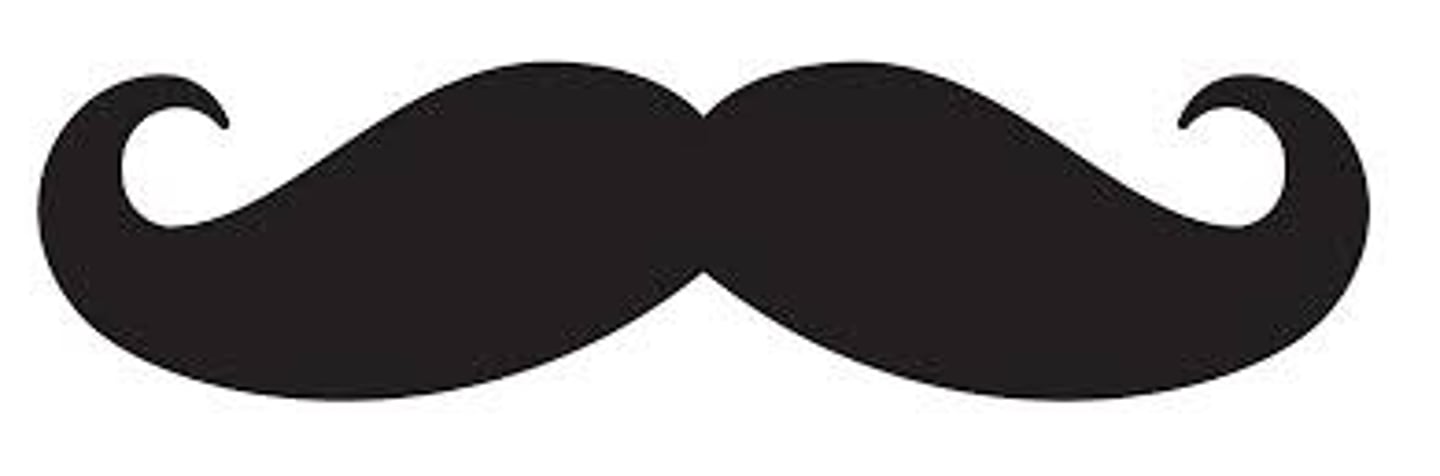 <p>the moustache</p>