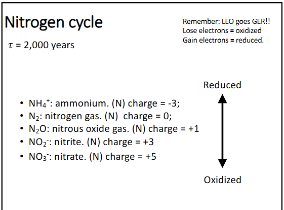 <p>oxidation-reduction reactions act on different forms on nitrogen (ammonium, nitrogen gas, nitrous oxide gas, nitrite, and nitrate)</p>