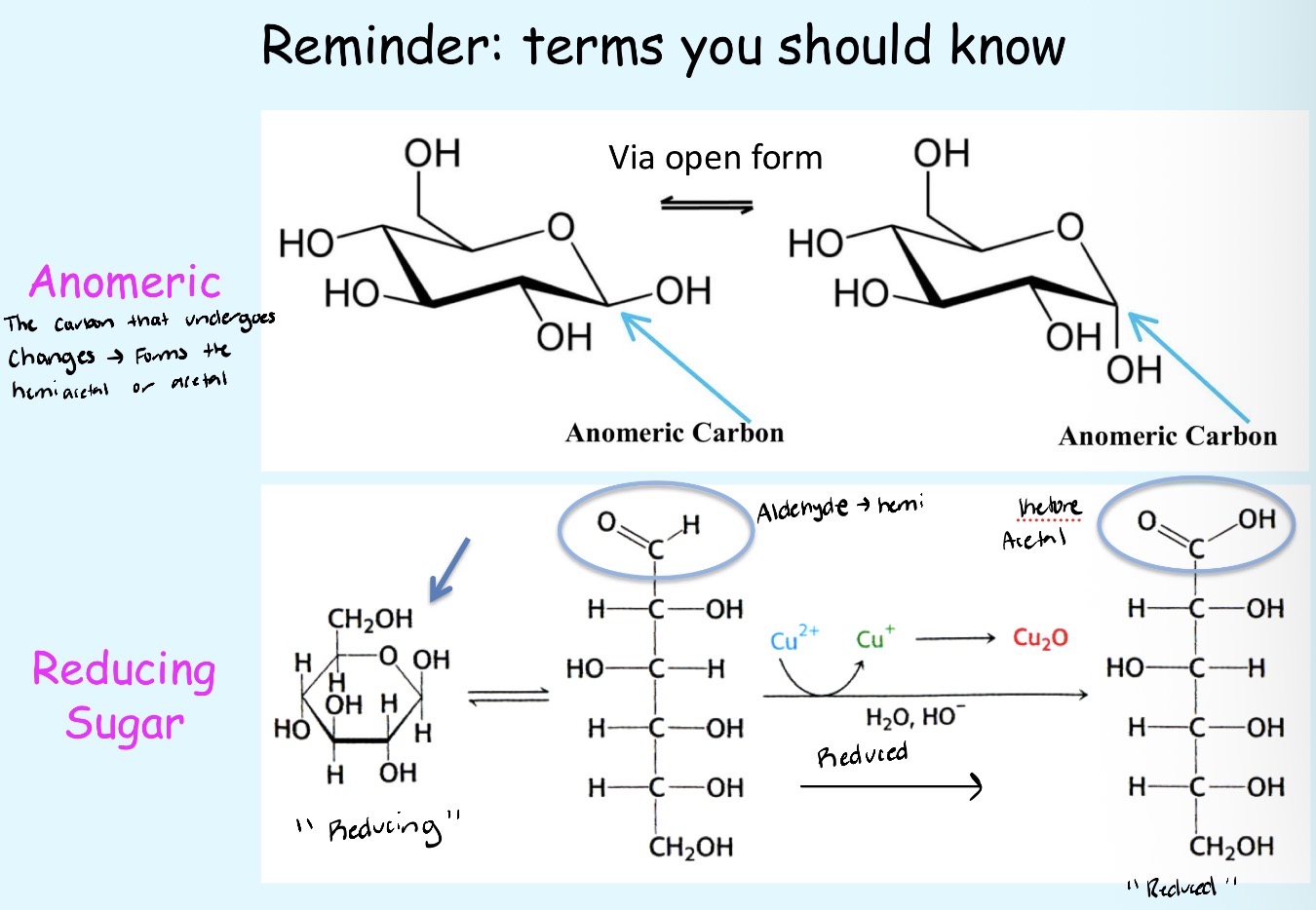 <p>A reducing sugar can open into a linear form, exposing an aldehyde or ketone that act as reducing agents (donate electrons)</p>