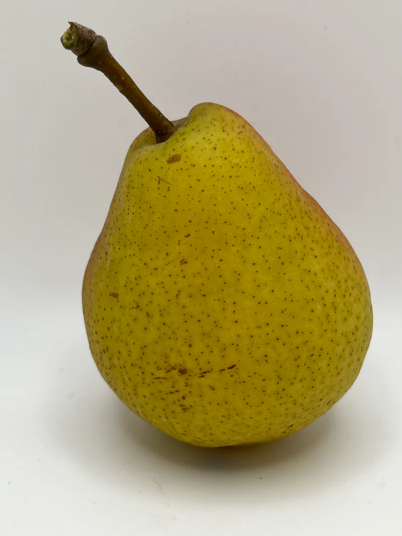 <p>una pera</p>