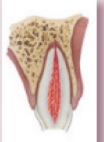<p>What is this?</p>