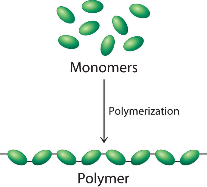 <p>Polymer</p>