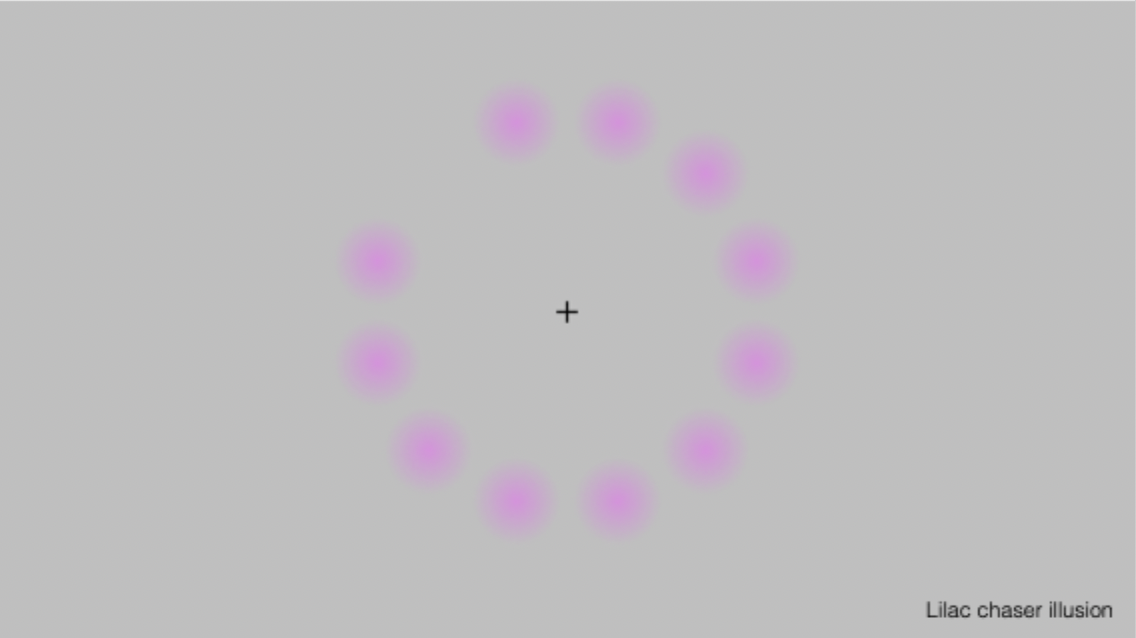 <ul><li><p><span>Single green dot</span></p></li><li><p><span>Negative afterimage</span></p></li><li><p><span>Apparent motion</span></p></li></ul><p></p>