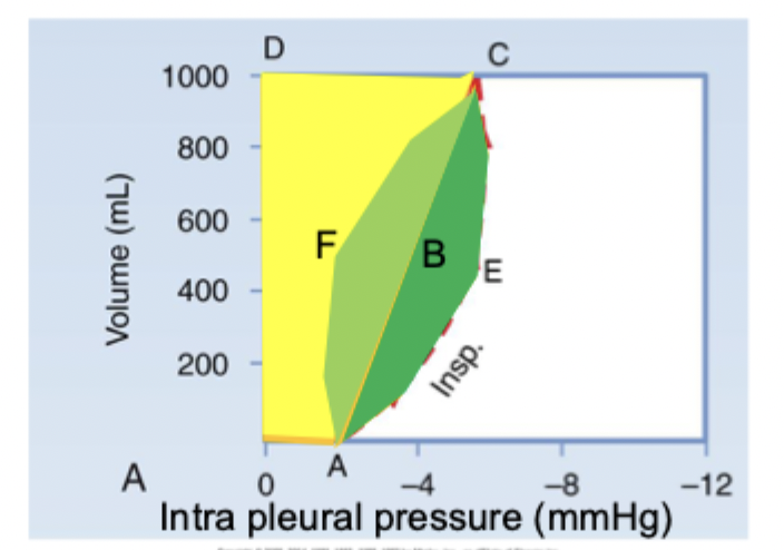 <p>what is this graph showing?</p>