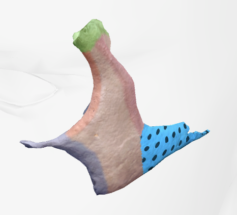 term image