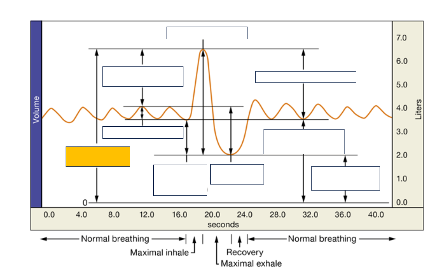 <p>name and def.</p>