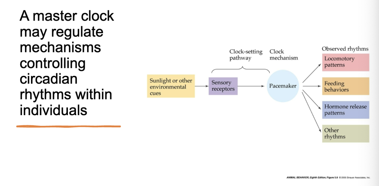 <p>info flip for more </p>