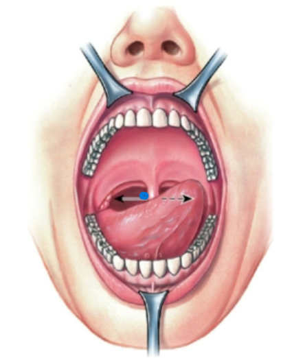 knowt flashcard image
