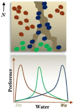 <p>What do these sets of graphs show?</p>
