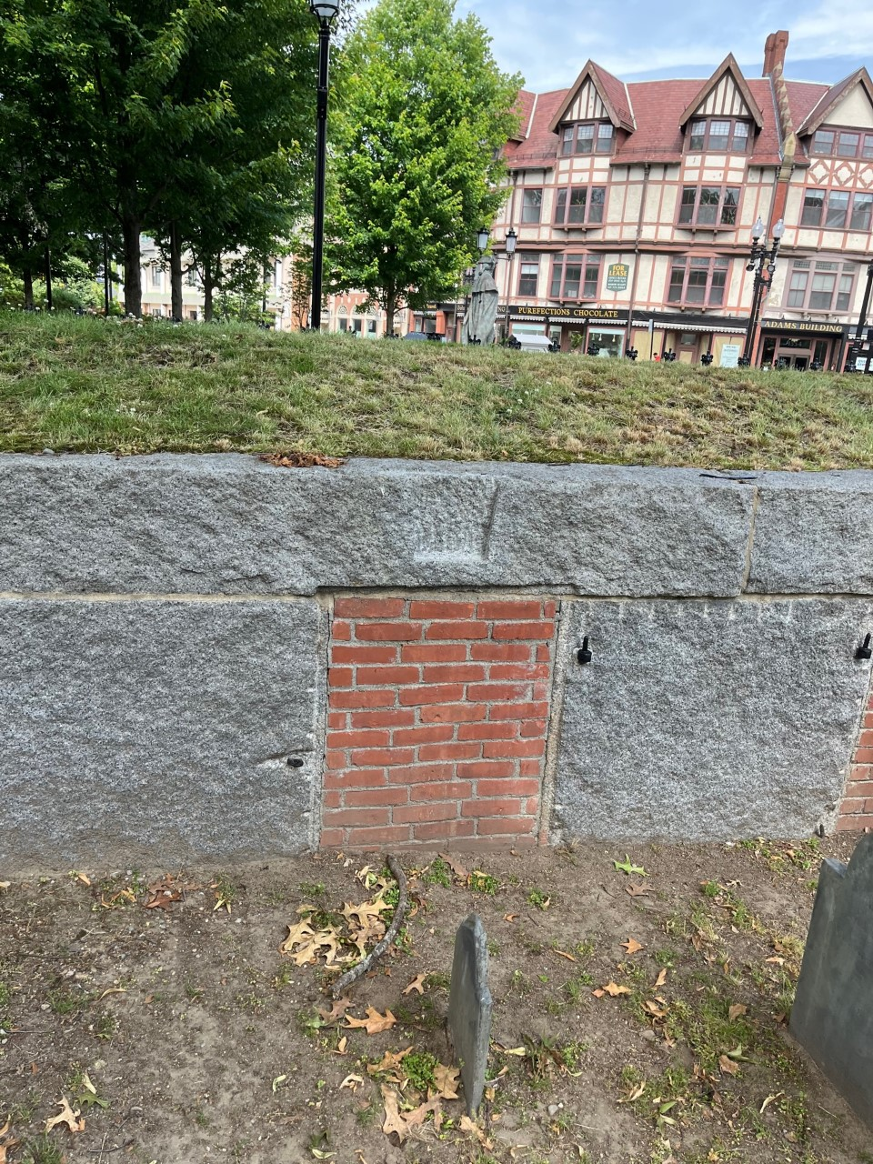 term image