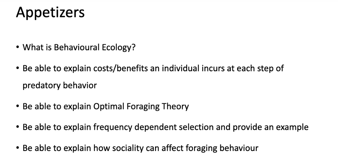 <p>study info (be able to answer)</p>