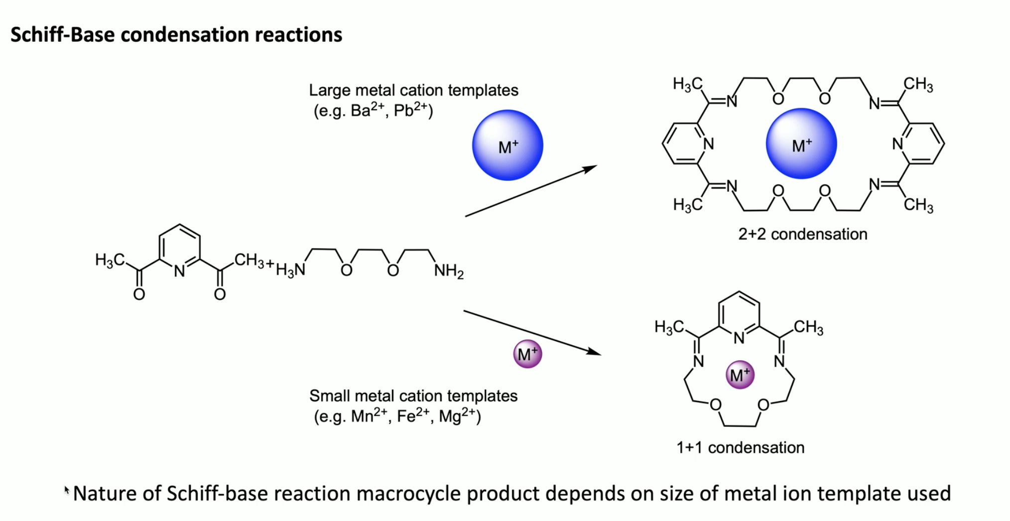 <p>size of metal ion template can determine which product is formed [1+1] vs [2+2]</p>