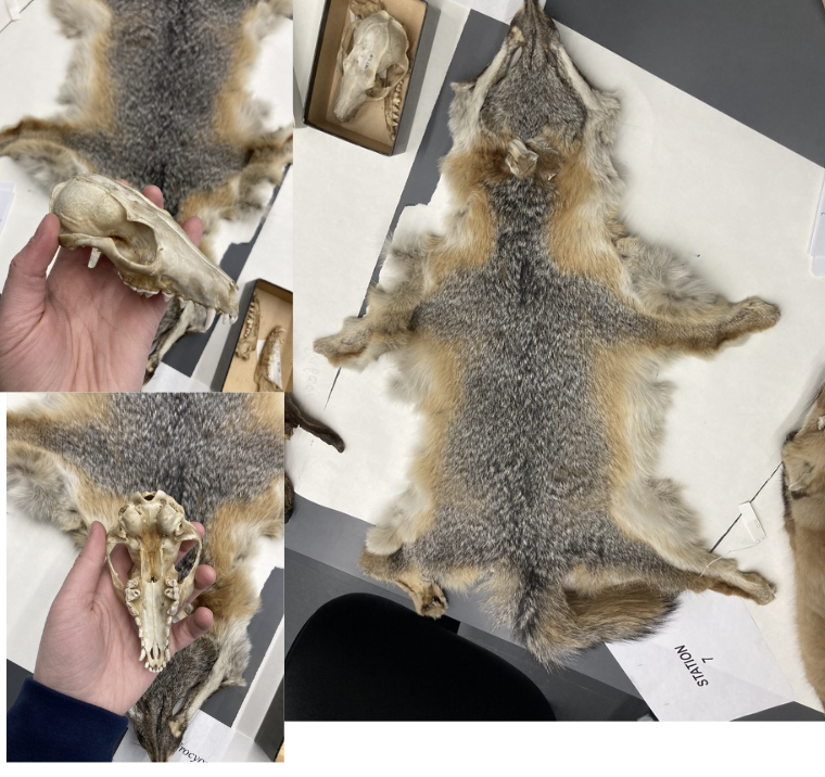 <p>What is this?</p>