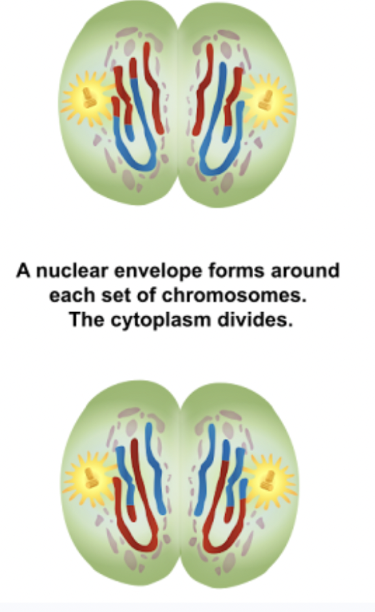 <p><span style="background-color: transparent;">What phase is this?</span></p>