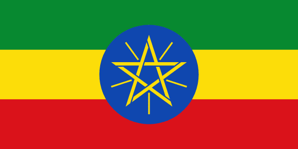 <p> </p>