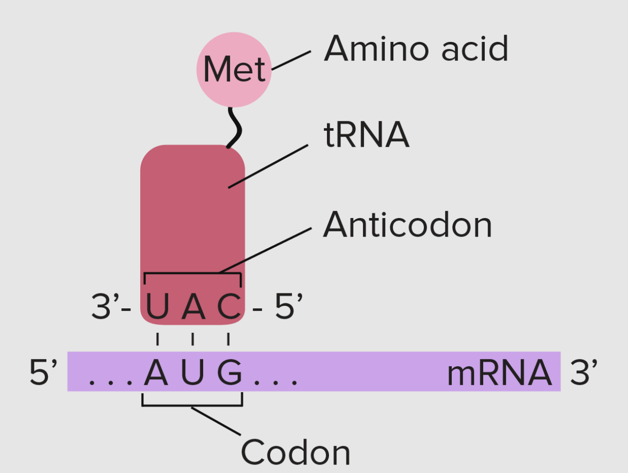 <p>What is this?</p>