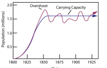 <p>sustainable abundance of a species that can be supported by the ecosystem’s total available resources (represented by K)</p>